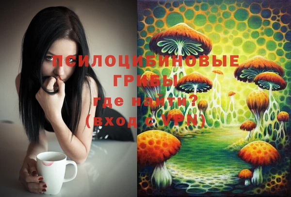 MDMA Михайловка