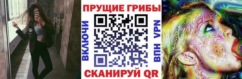 где купить наркотик  Магнитогорск  Псилоцибиновые грибы Cubensis 